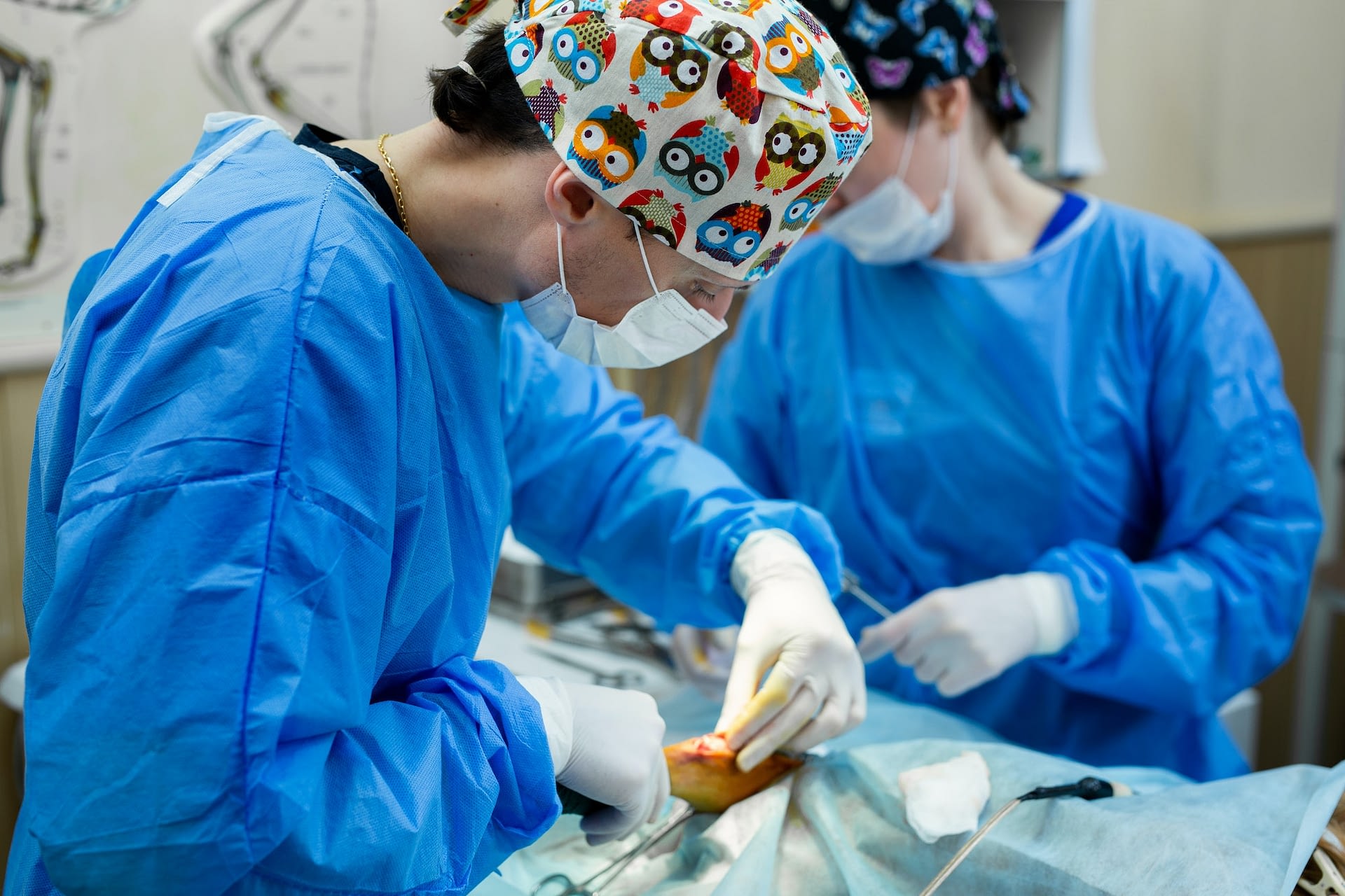 operation paws dog in a veterinary clinic