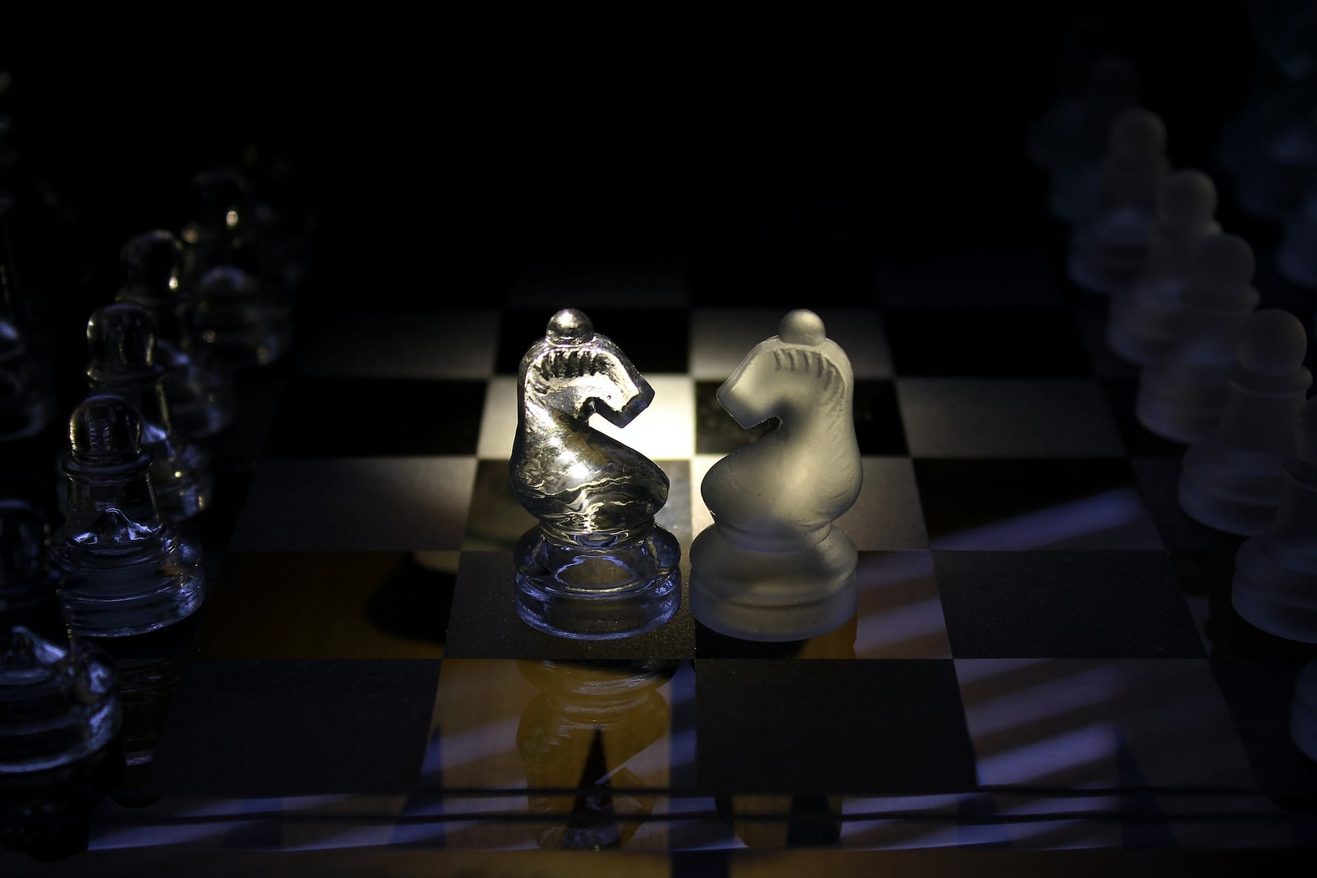 opposite knight chess pieces head to head on a chessboard