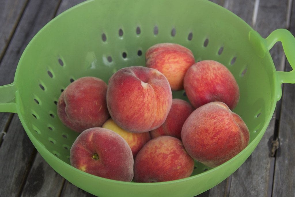 62c61a52 7f93 4618 a854 6dda9e3c6ff0