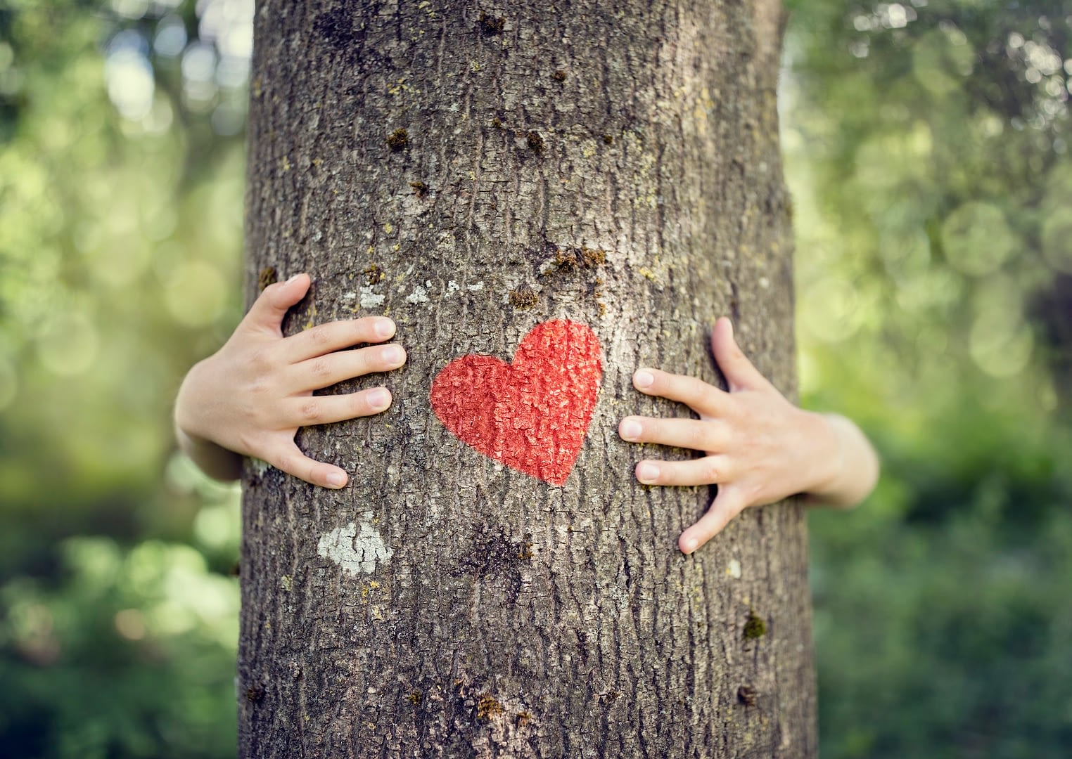 tree hugging love nature