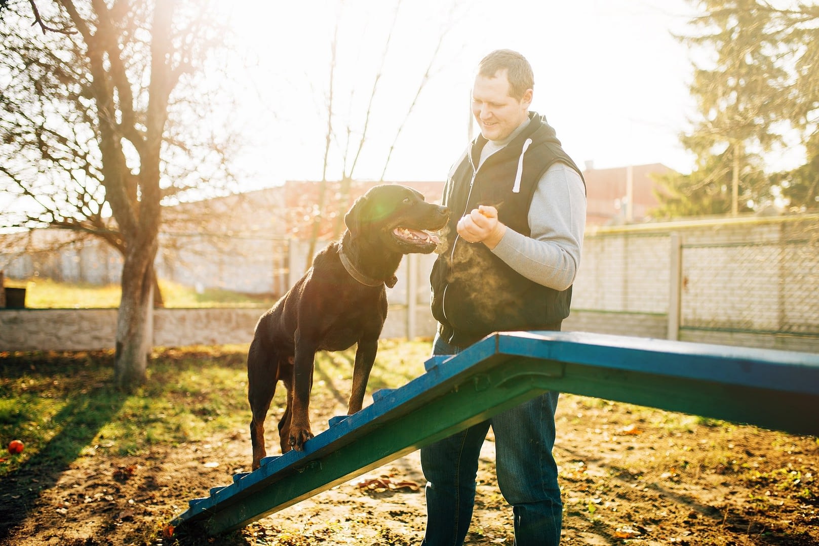 cynologist trains a dog to keep balance
