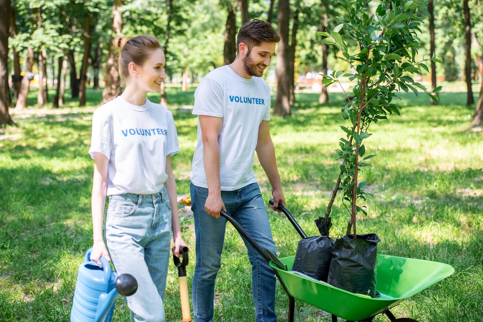 couple of volunteers planting trees in park together