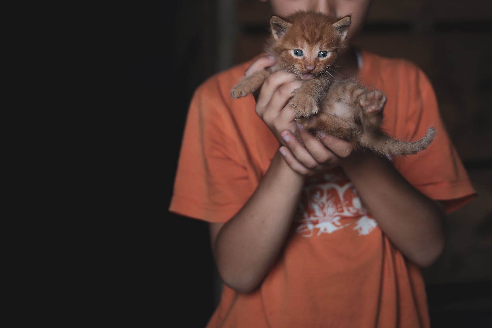 a child is holding his two week old baby cat