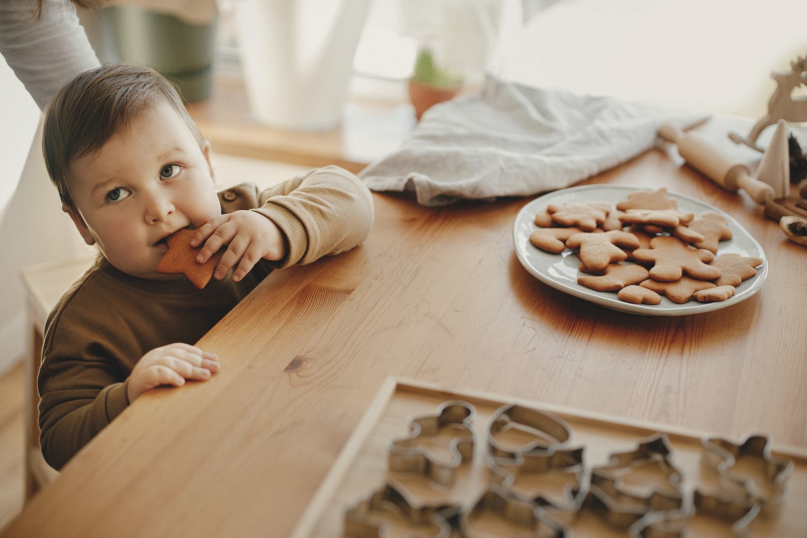 cute little girl eating freshly baked gingerbread cookie funny toddler tasting christmas cookies
