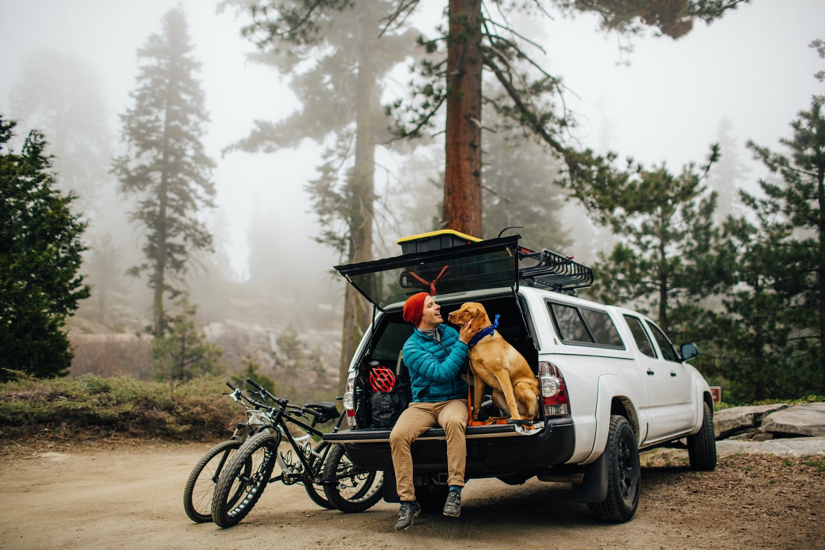 man and dog sitting on tailgate of off road vehicle sequoia national park california usa