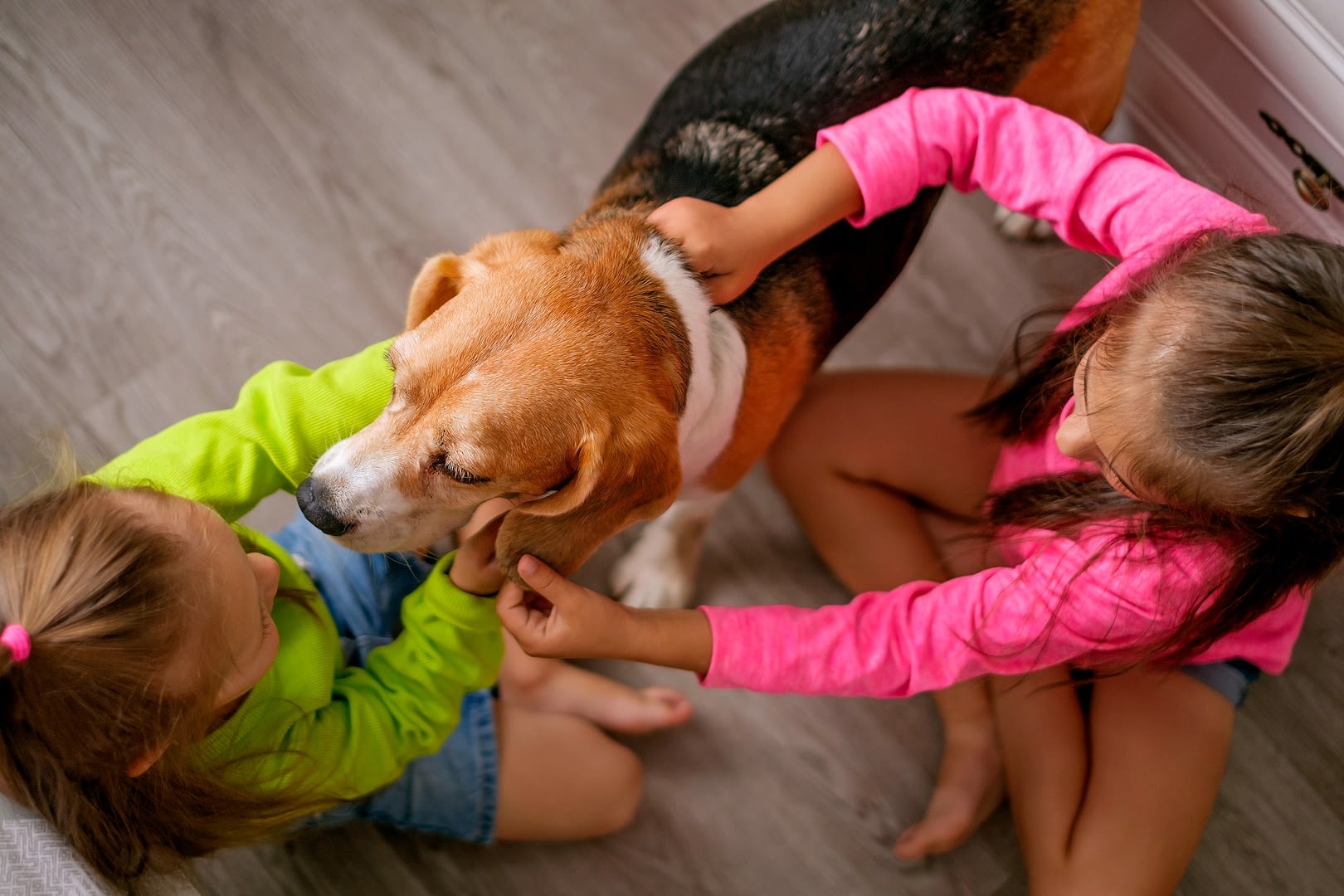 sister play with dog caressing her sitting on floor in room