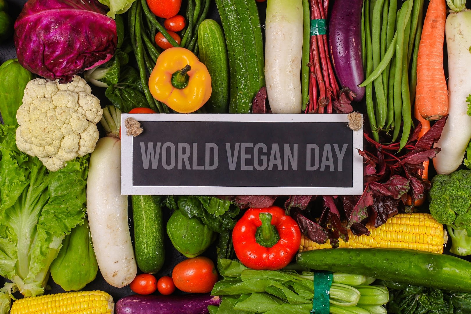 world vegan day background