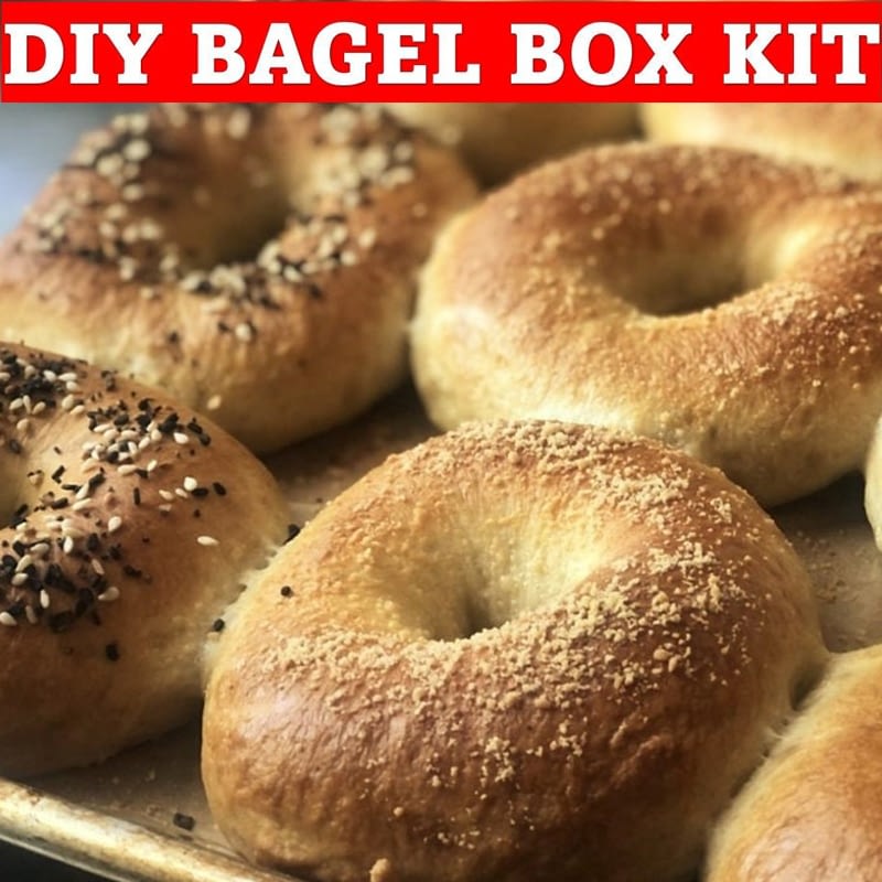 Plain DIY Bagel Box