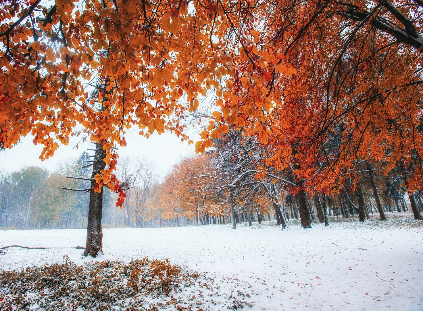 first days of winter