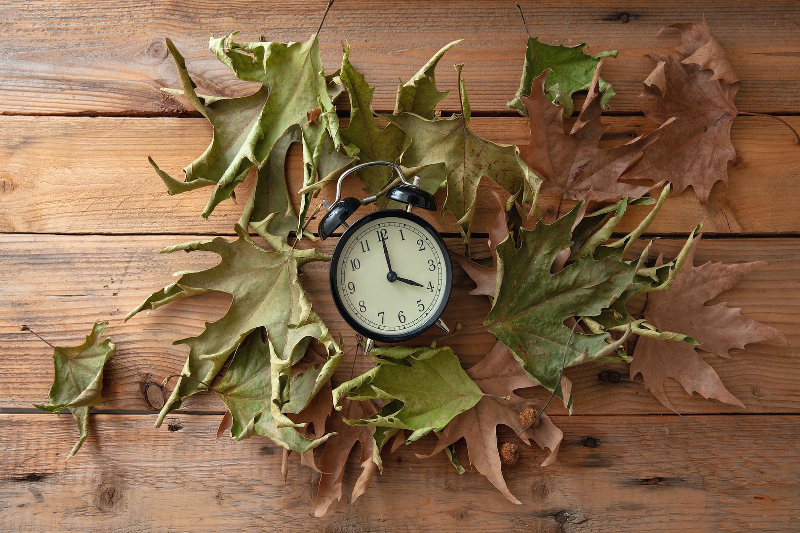 daylight saving time fall back black clock and autumn leaves on wood