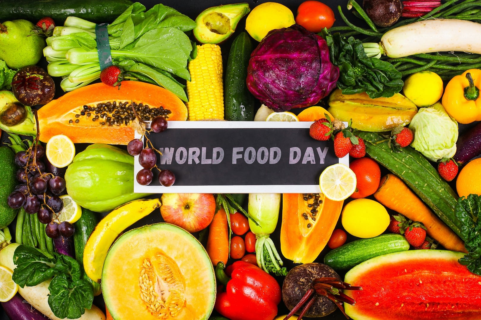 world food day